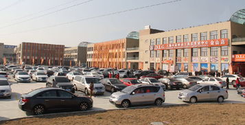 上海金山國際貿(mào)易城ⅱ期盛大試營業(yè)