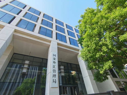 國家外匯局發(fā)布通知擴(kuò)大跨境貿(mào)易投資高水平開放試點